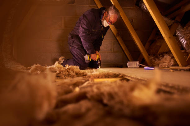 Best Geographic-Specific Insulation Services in Mount Juliet, TN